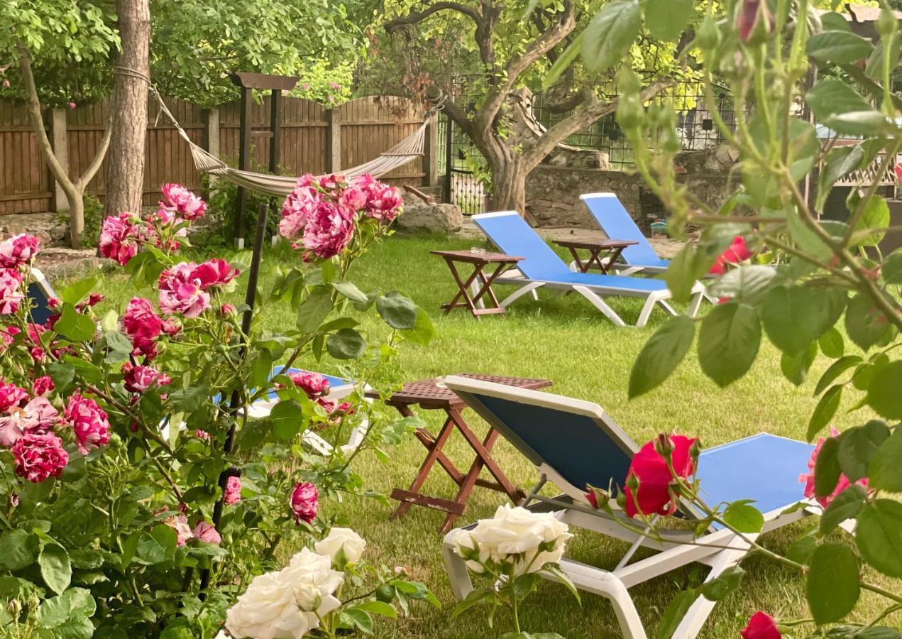 Bed and Breakfast Vamabel House Vama Veche Zewnętrze zdjęcie