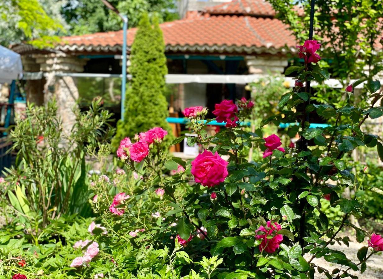 Bed and Breakfast Vamabel House Vama Veche Zewnętrze zdjęcie