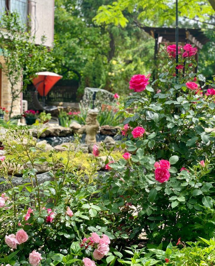 Bed and Breakfast Vamabel House Vama Veche Zewnętrze zdjęcie